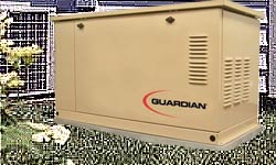 Guardian Generators